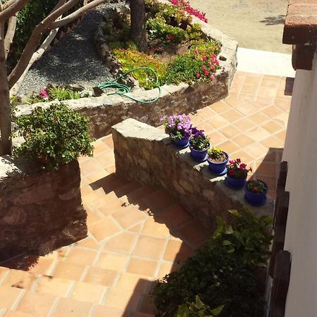 Quinta Los Arrayanes Hotel Ensenada Bagian luar foto