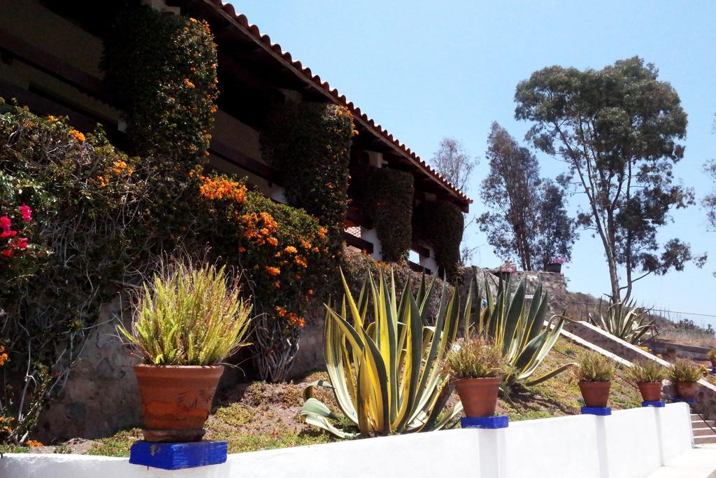 Quinta Los Arrayanes Hotel Ensenada Bagian luar foto