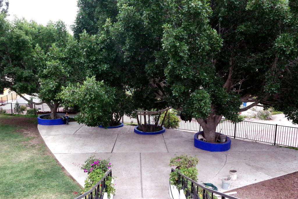 Quinta Los Arrayanes Hotel Ensenada Bagian luar foto